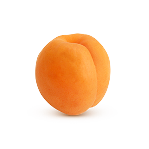 Apricot PNG-12659
